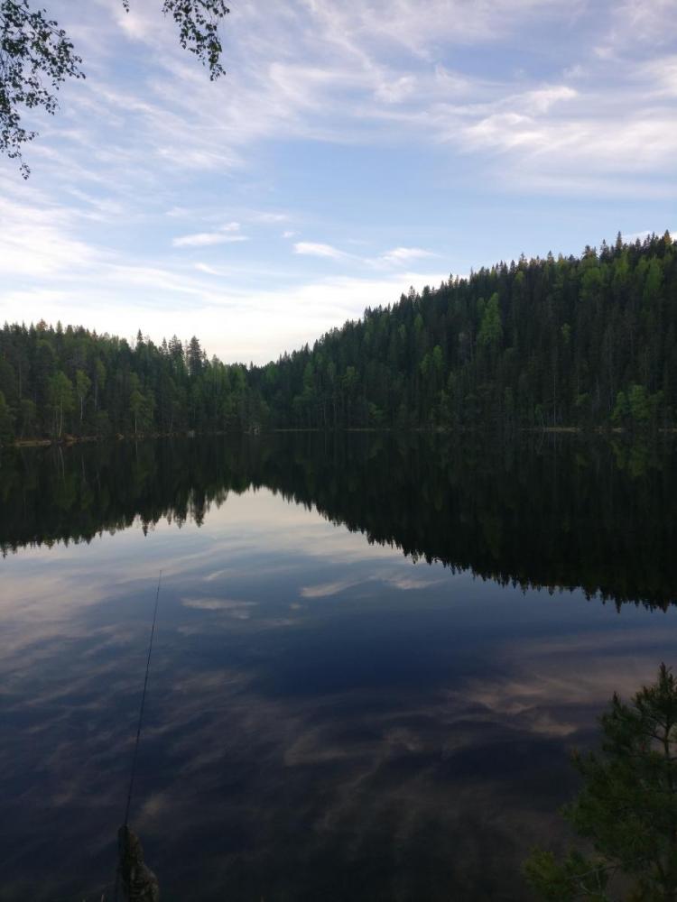 IMG_20170525_205016 (2).jpg