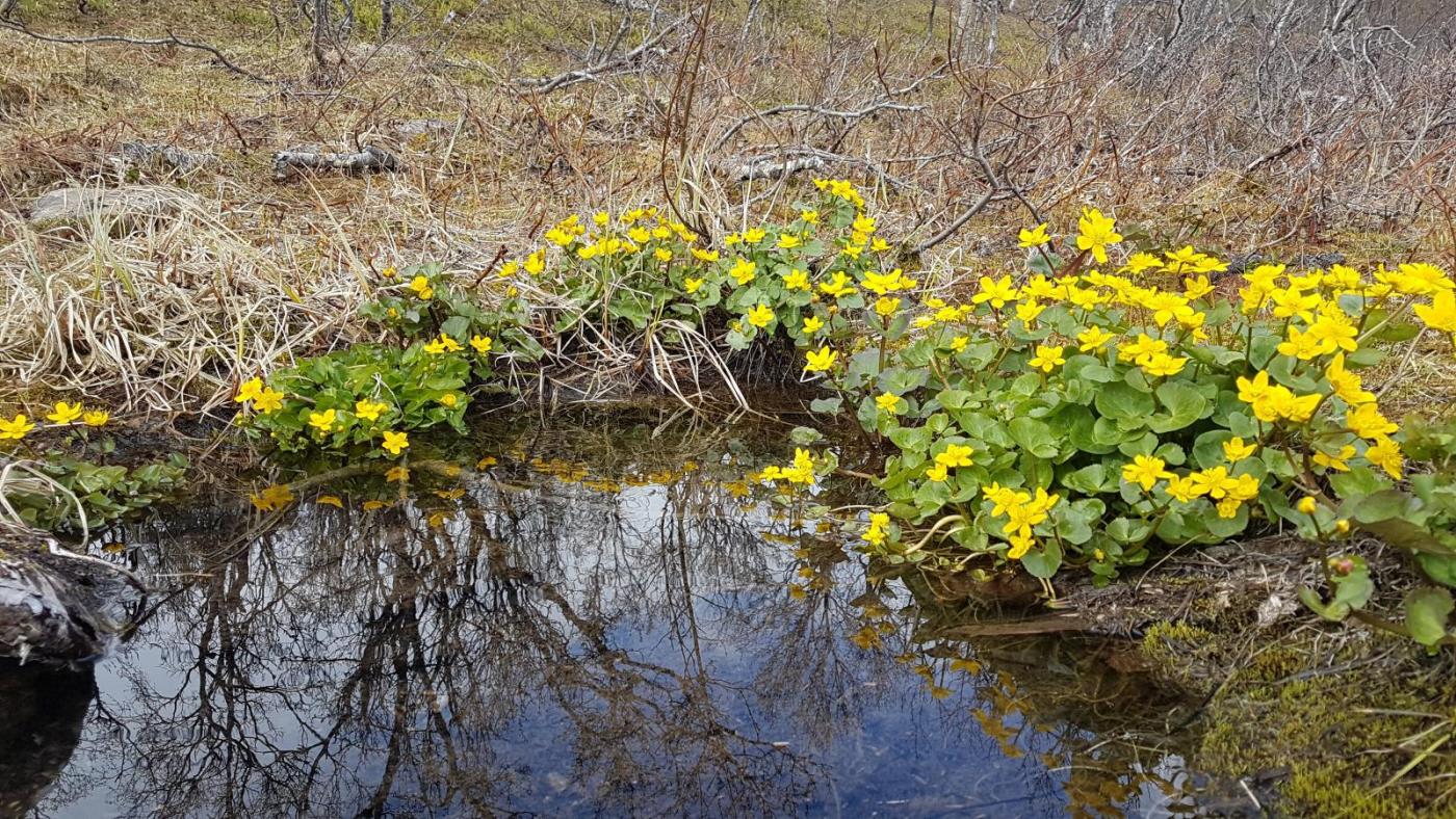 2017-06-18 11.45.52.jpg