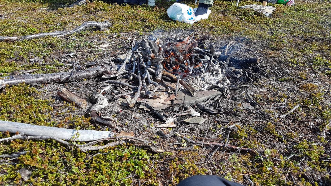 2017-07-01 14.29.58.jpg