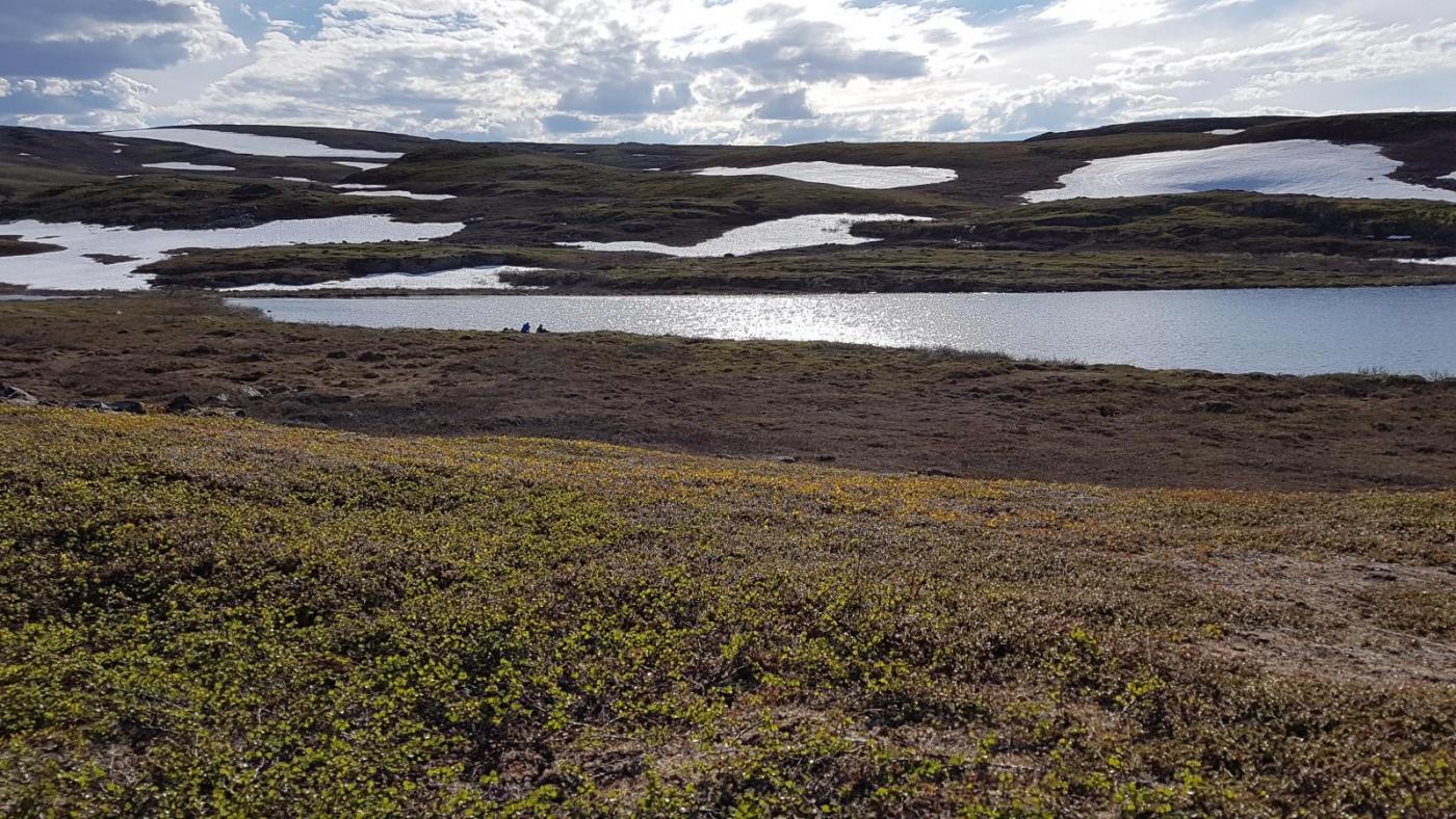 2017-07-02 16.46.32.jpg