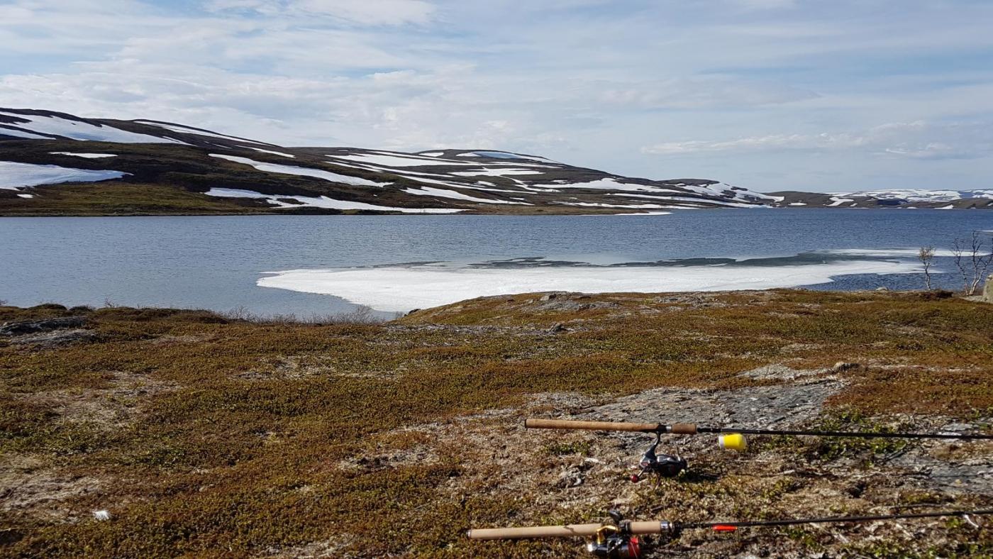 2017-07-02 16.46.35.jpg