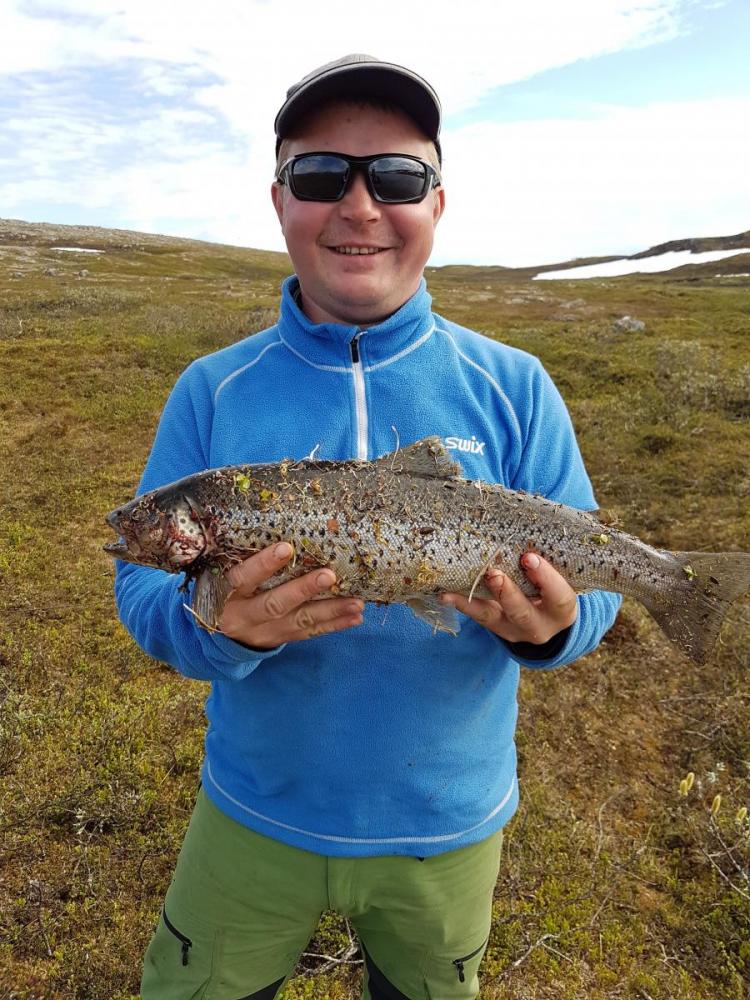 20170703_164858 (1).jpg