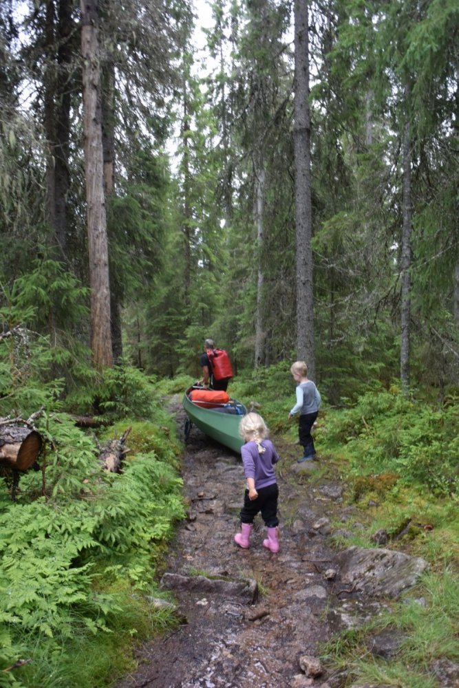 IMG_7098 Bæring fra Finntjern til Aklangen (27).JPG