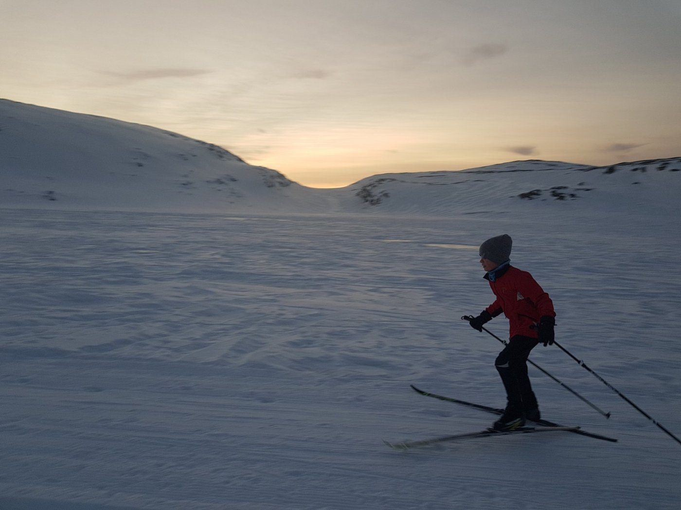 2018-02-03 14.27.35.jpg