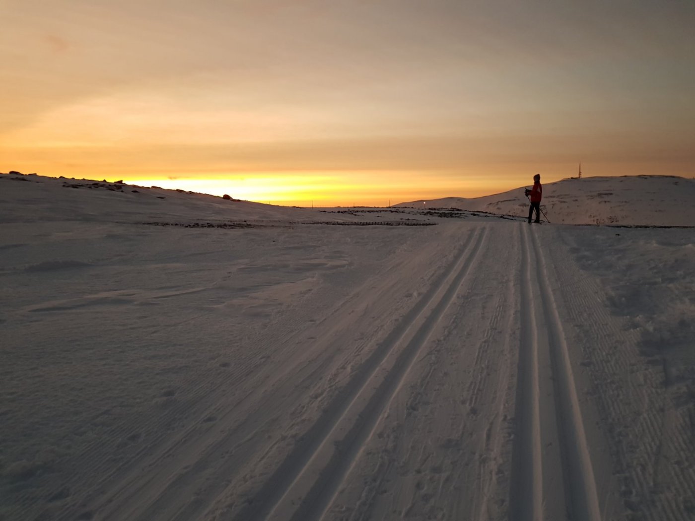 2018-02-03 15.29.02.jpg