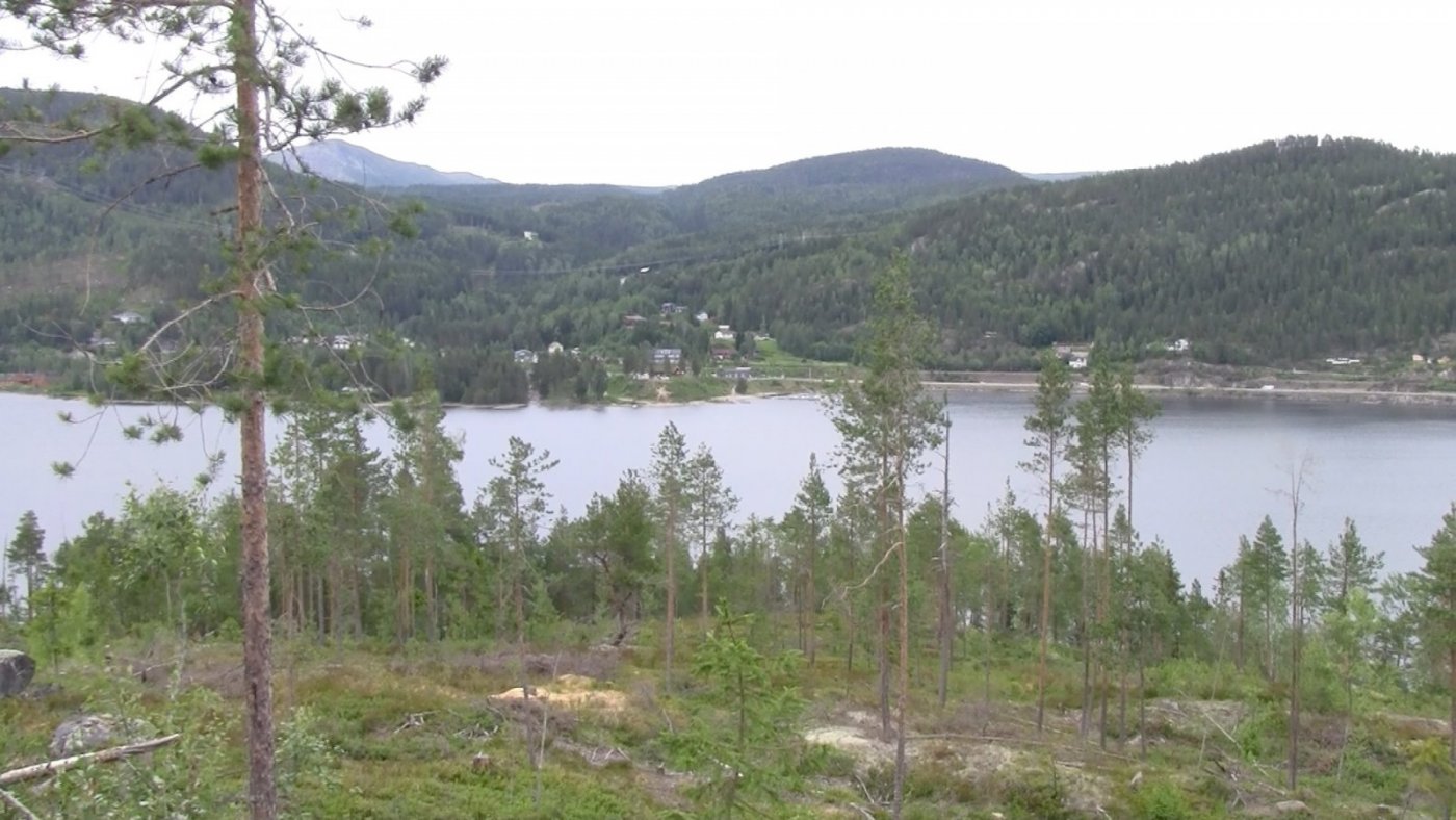 gulsvik.thumb.jpg.c7a05a6bbd6867d38e37c7eb7cb46e3d.jpg