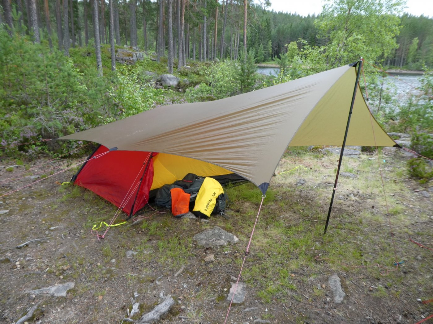 2017-07-29 12.48.14.jpg