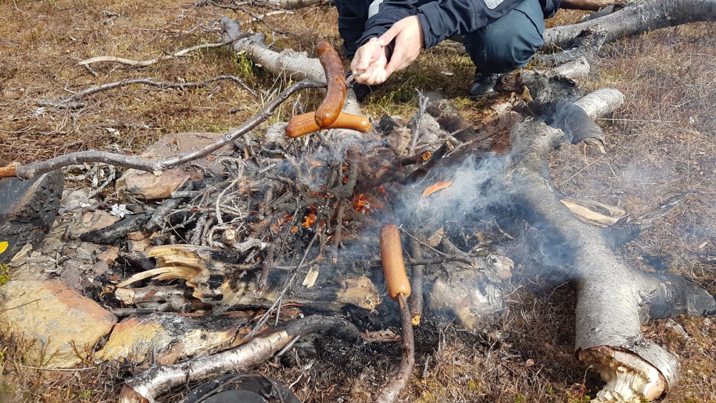 2018-06-09 11.54.28.jpg