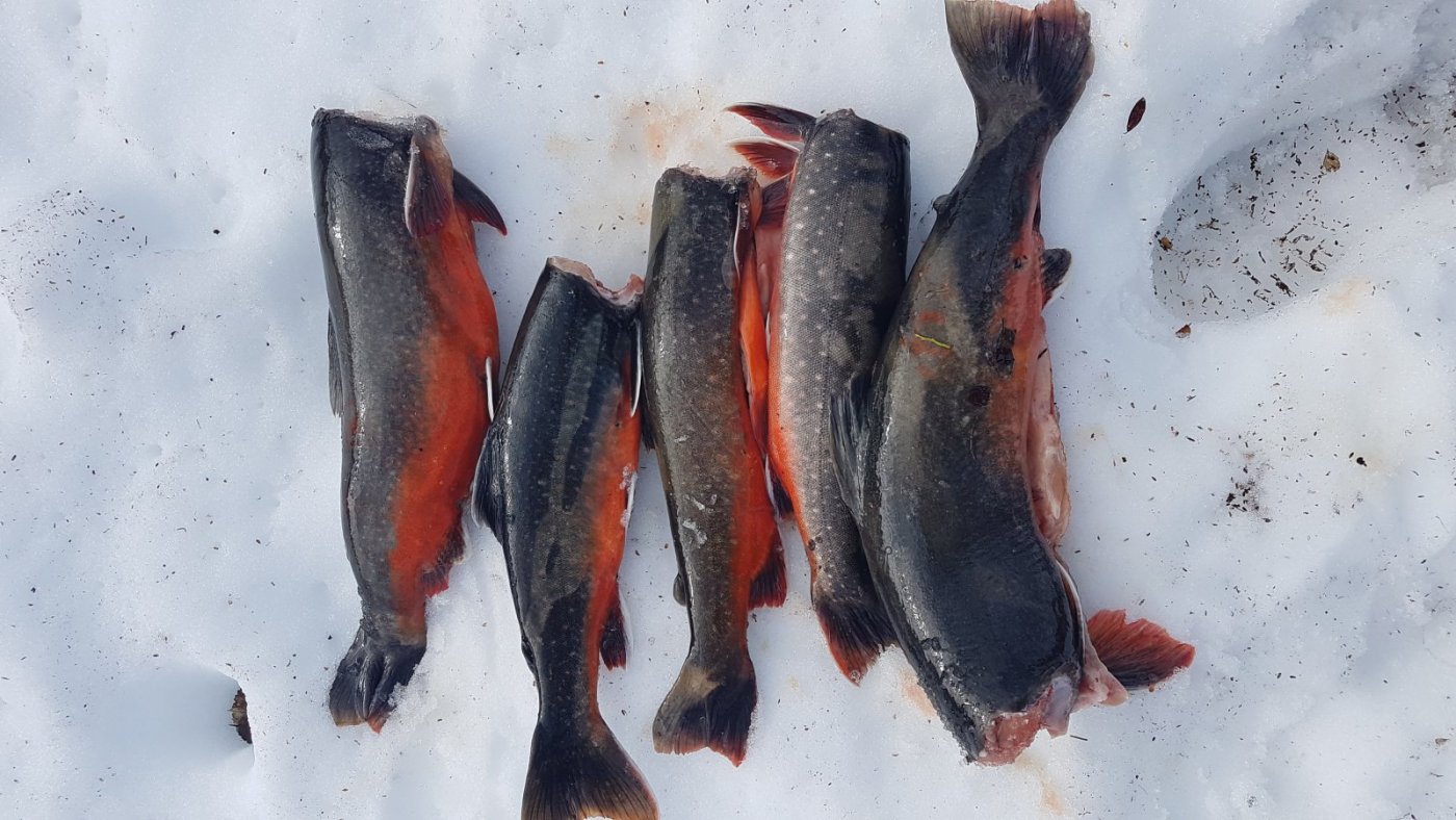 2018-06-09 16.02.50.jpg