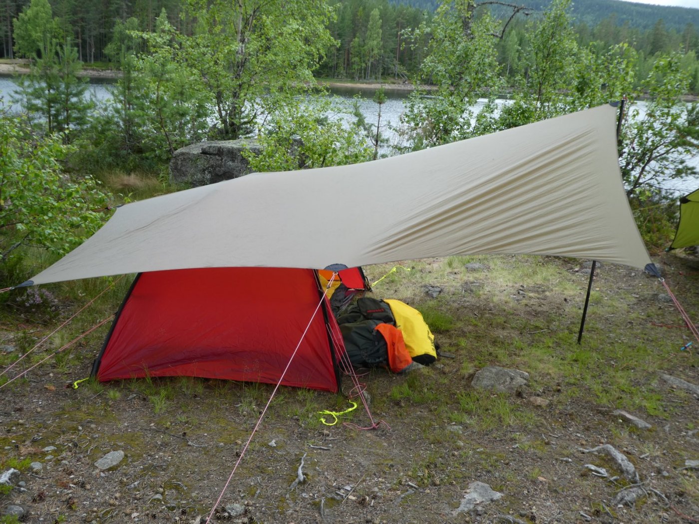 2017-07-29 12.48.50.jpg