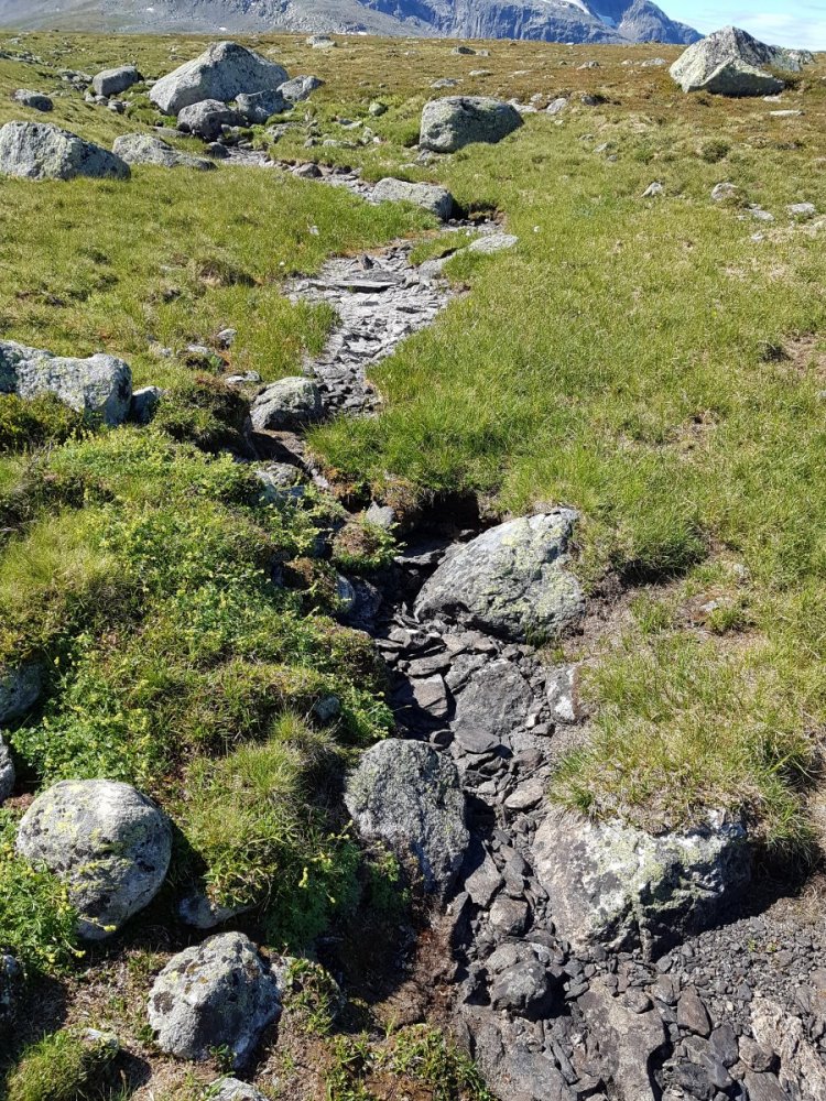 Trist når bekkene ser sånn ut