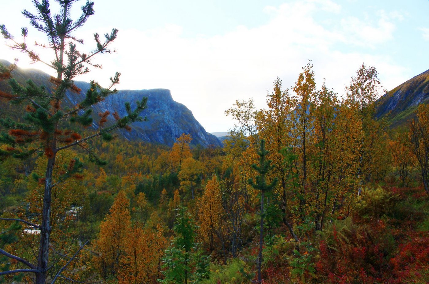 Stordalen 4 copy.jpg