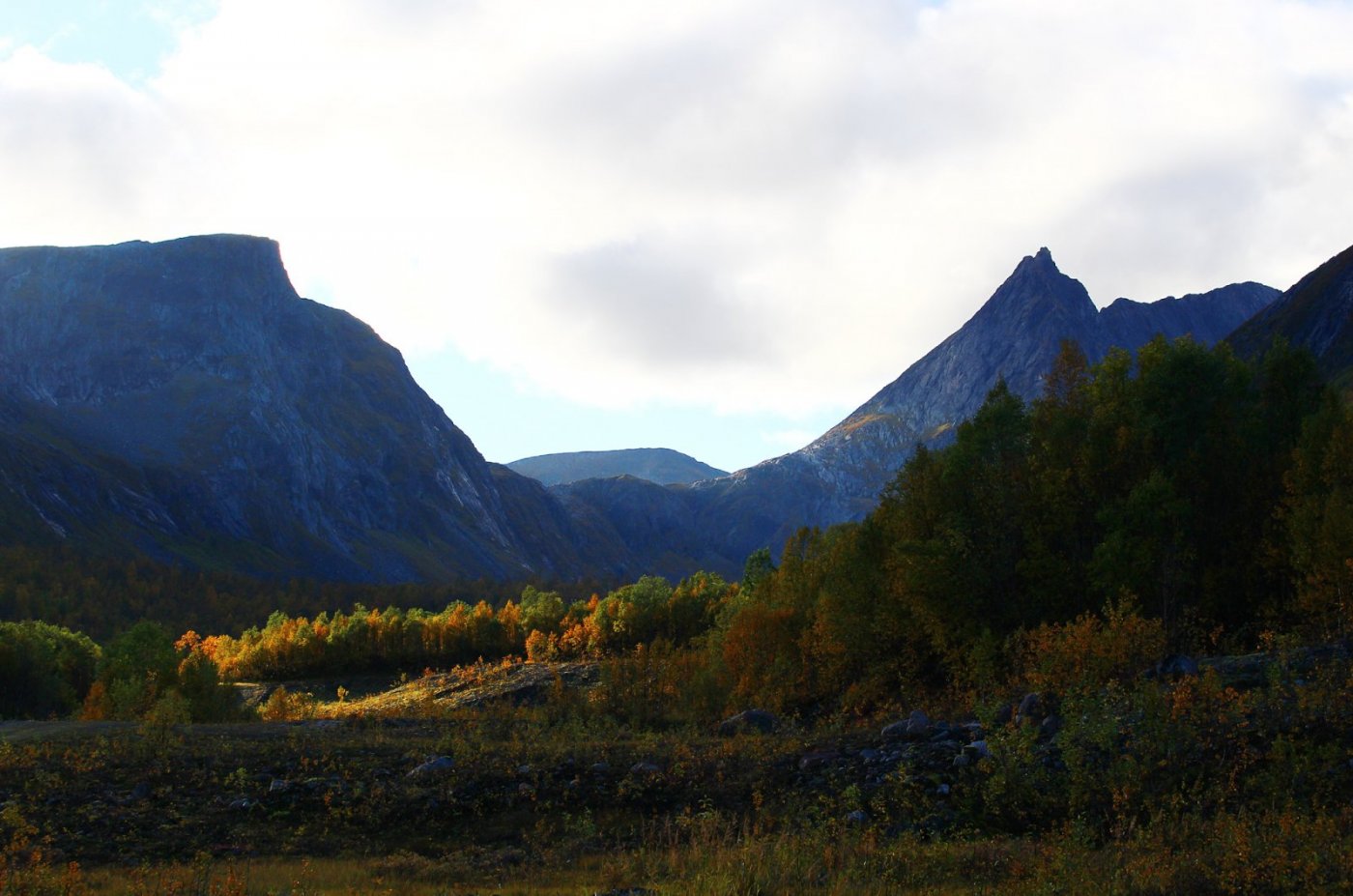 Stordalen 2 copy.jpg