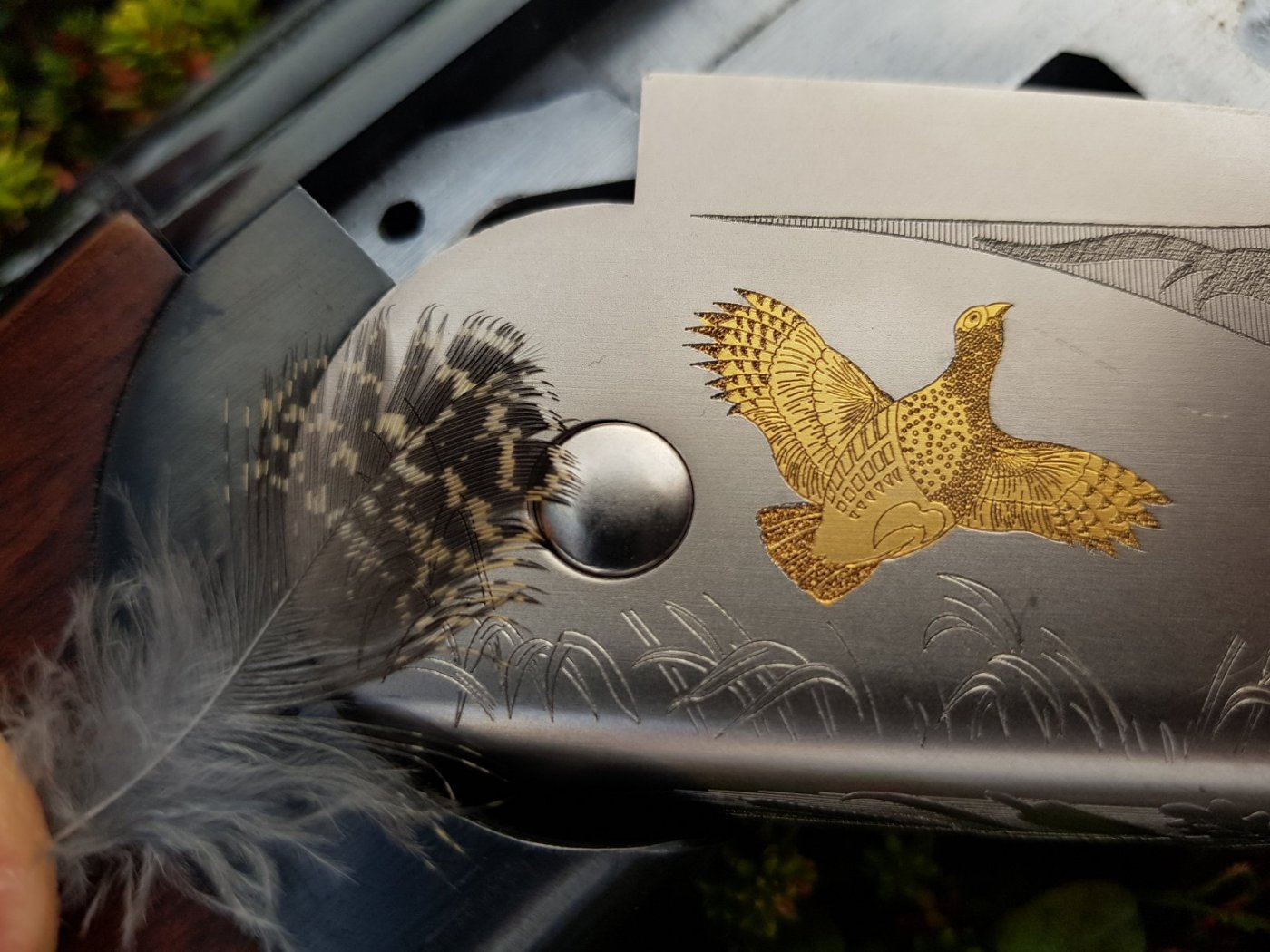 2018-09-30 14.55.30.jpg