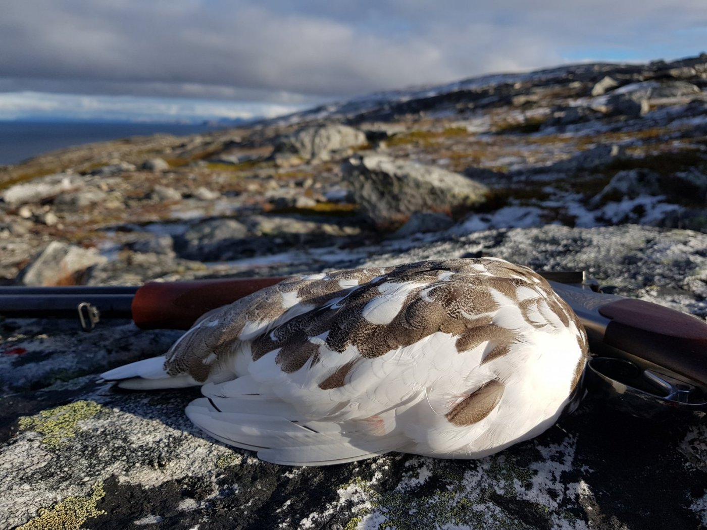 2018-09-30 12.24.56.jpg