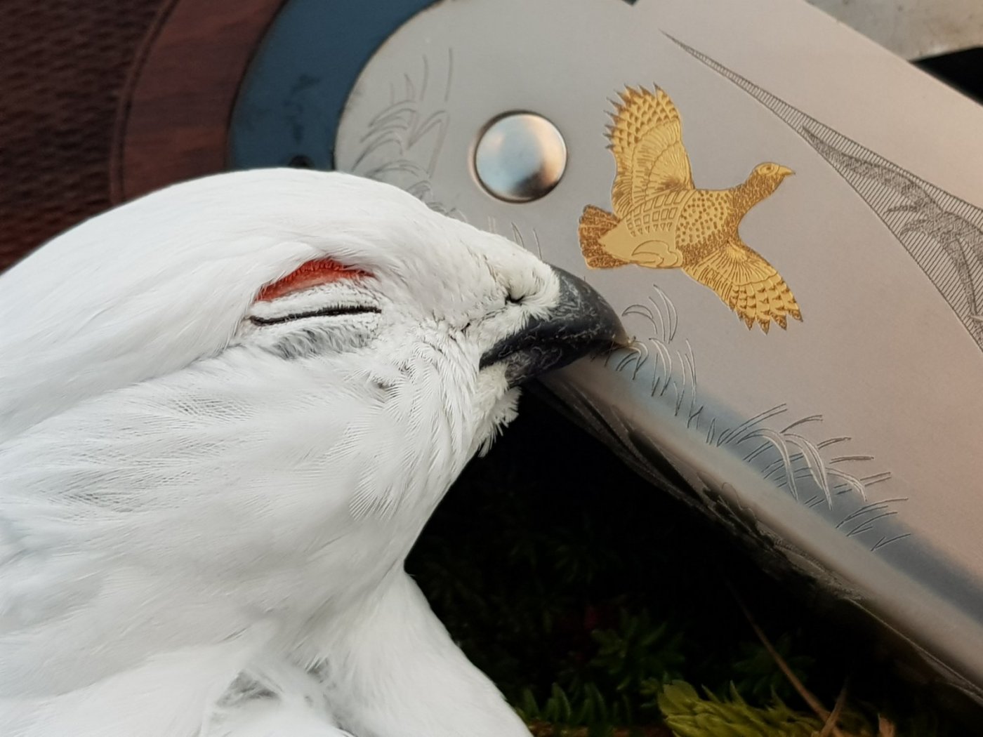 2018-11-10 11.09.18.jpg