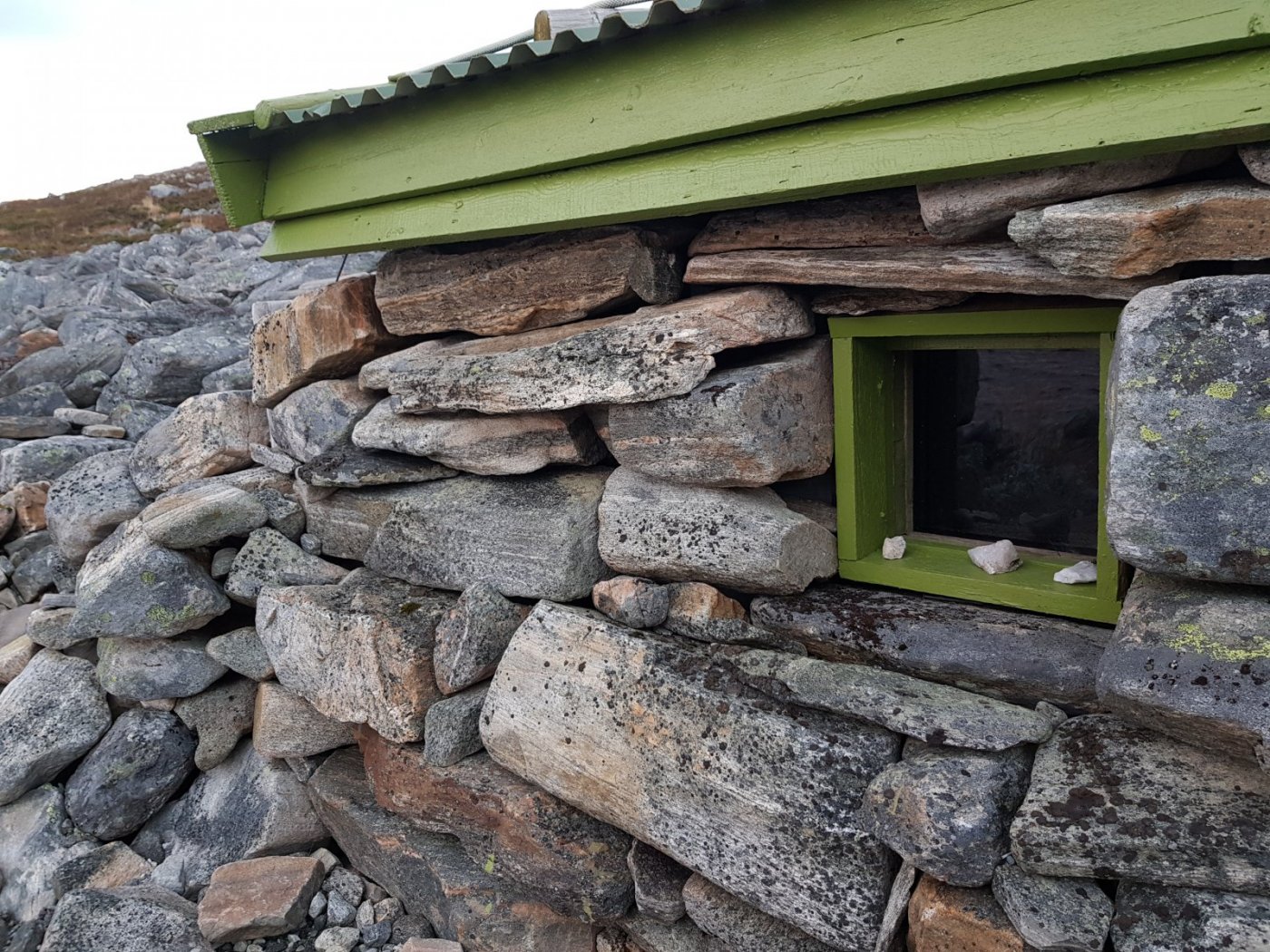 2018-11-10 10.17.57.jpg