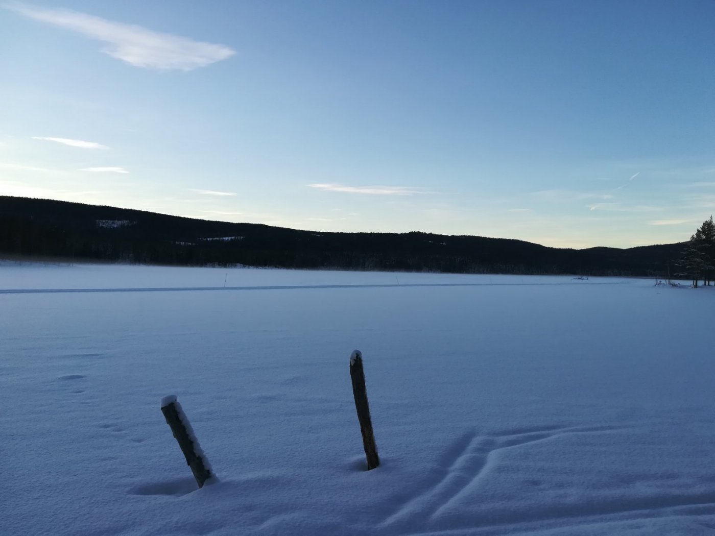 2019-01-10 14.46.50.jpg