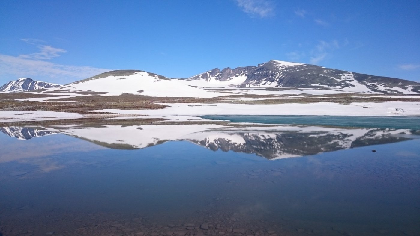 2015-07-05 09.11.20.jpg