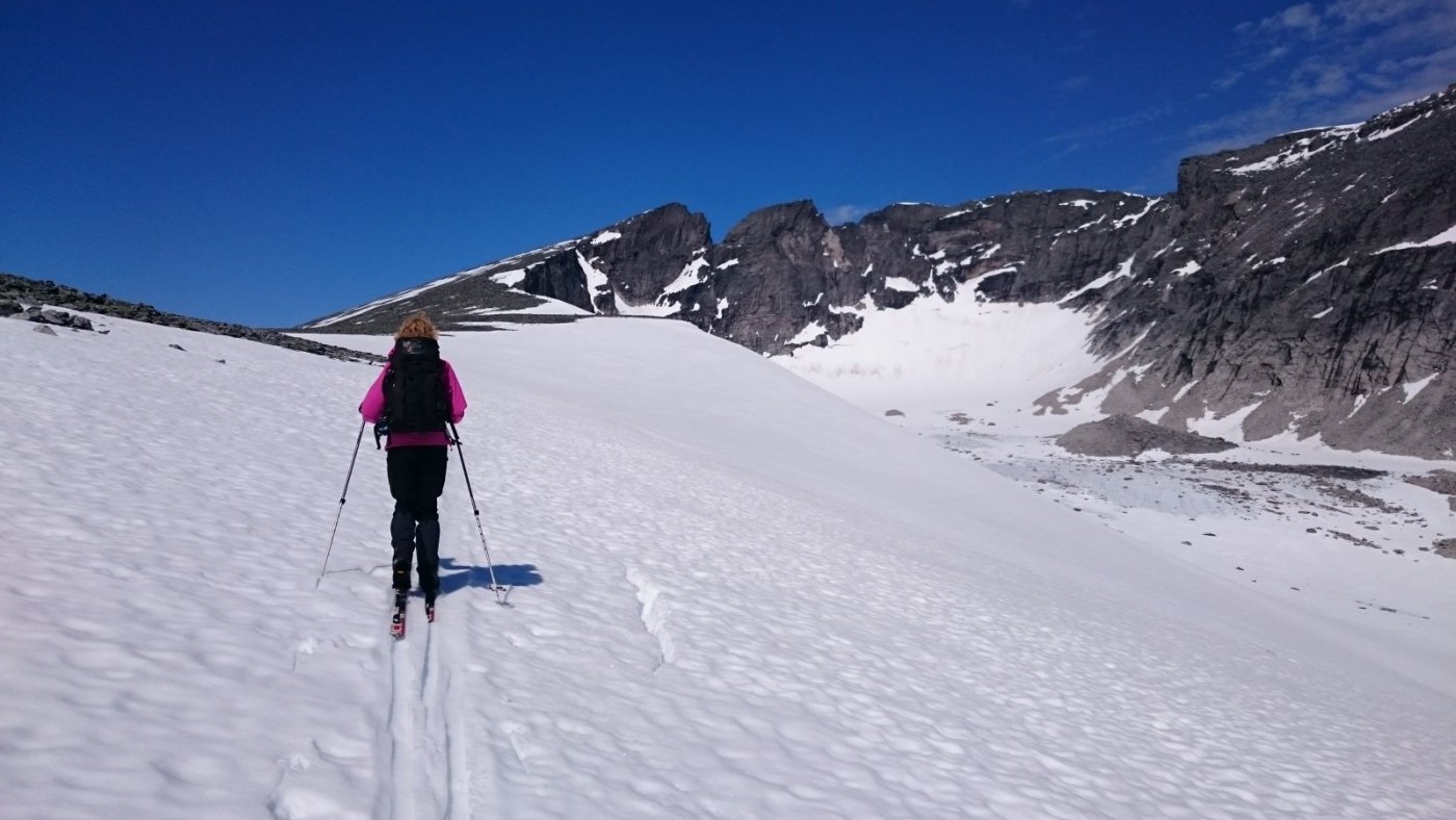 2015-07-05 11.25.04.jpg