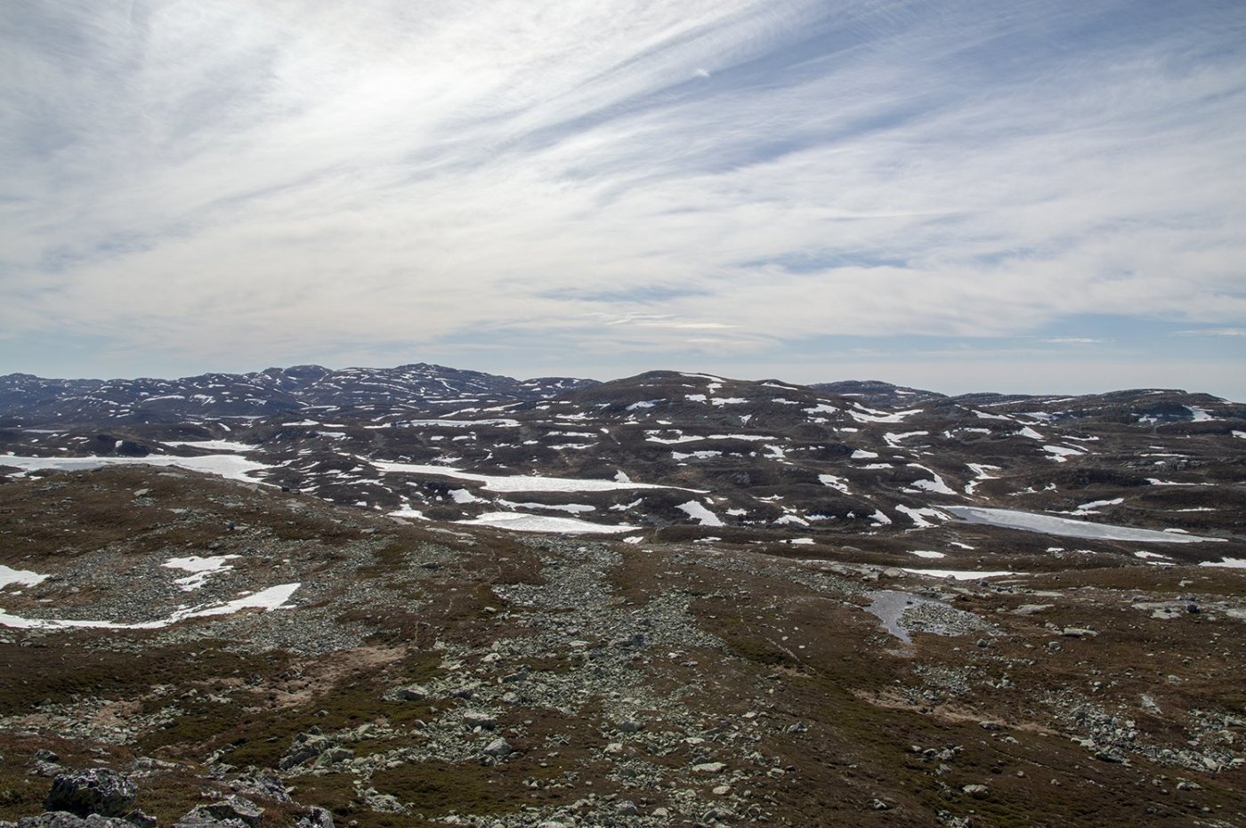 lifjell8.thumb.jpg.a40b9c4c0d2e0b756b2e59483eb3f9e9.jpg