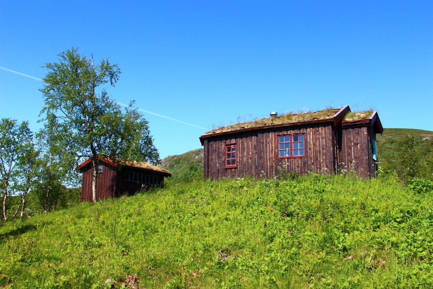 Gamle Virvass 2 copy.jpg