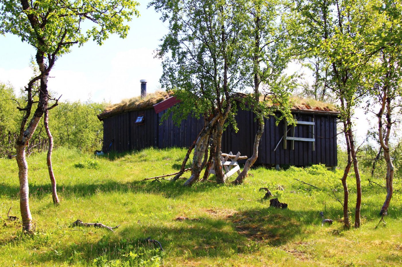 Virvass sol copy.jpg