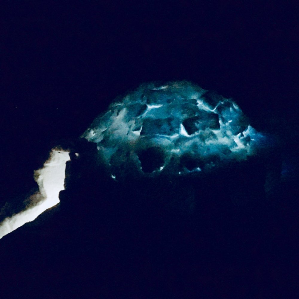 IMG_1906 (Redigert).JPG