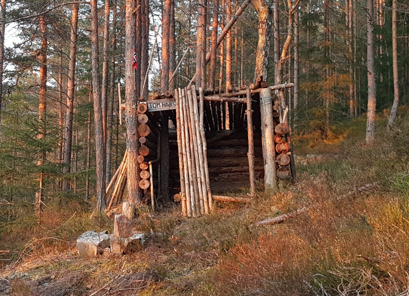 tom-hanks-hytte.thumb.png.057bd8448f563b6f186cafb9b808007b.png