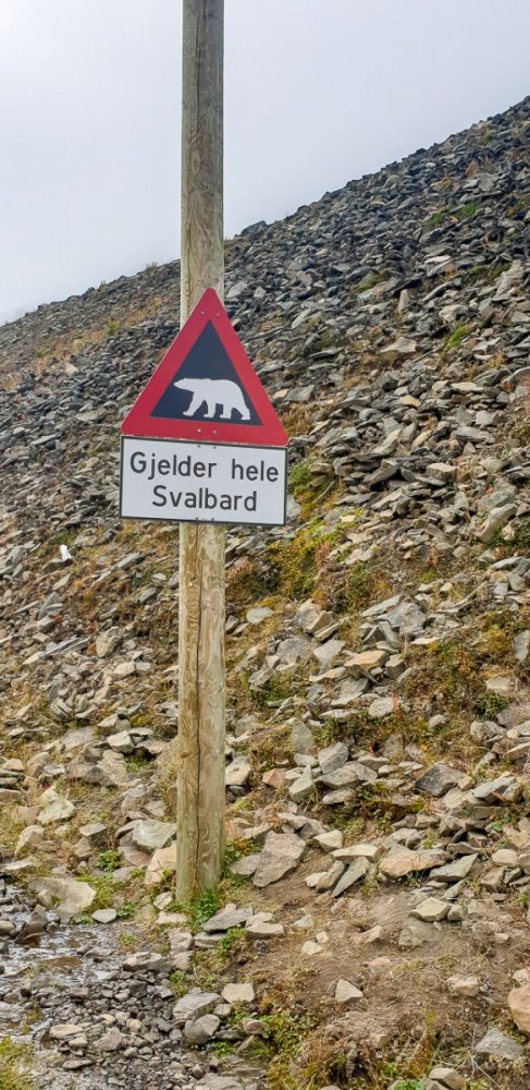 20200802_143018 (1)-2.jpg