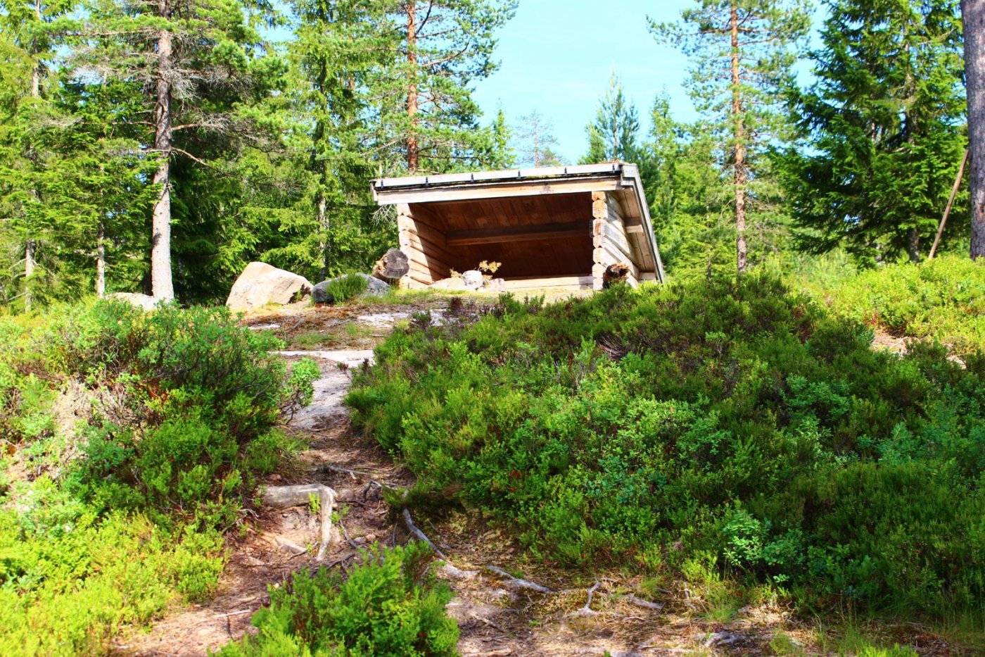 Gapahuk hellejern 6.jpg