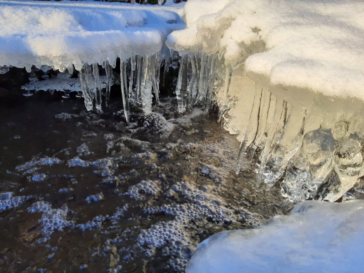 signal-2020-10-25-152824 (9).jpg