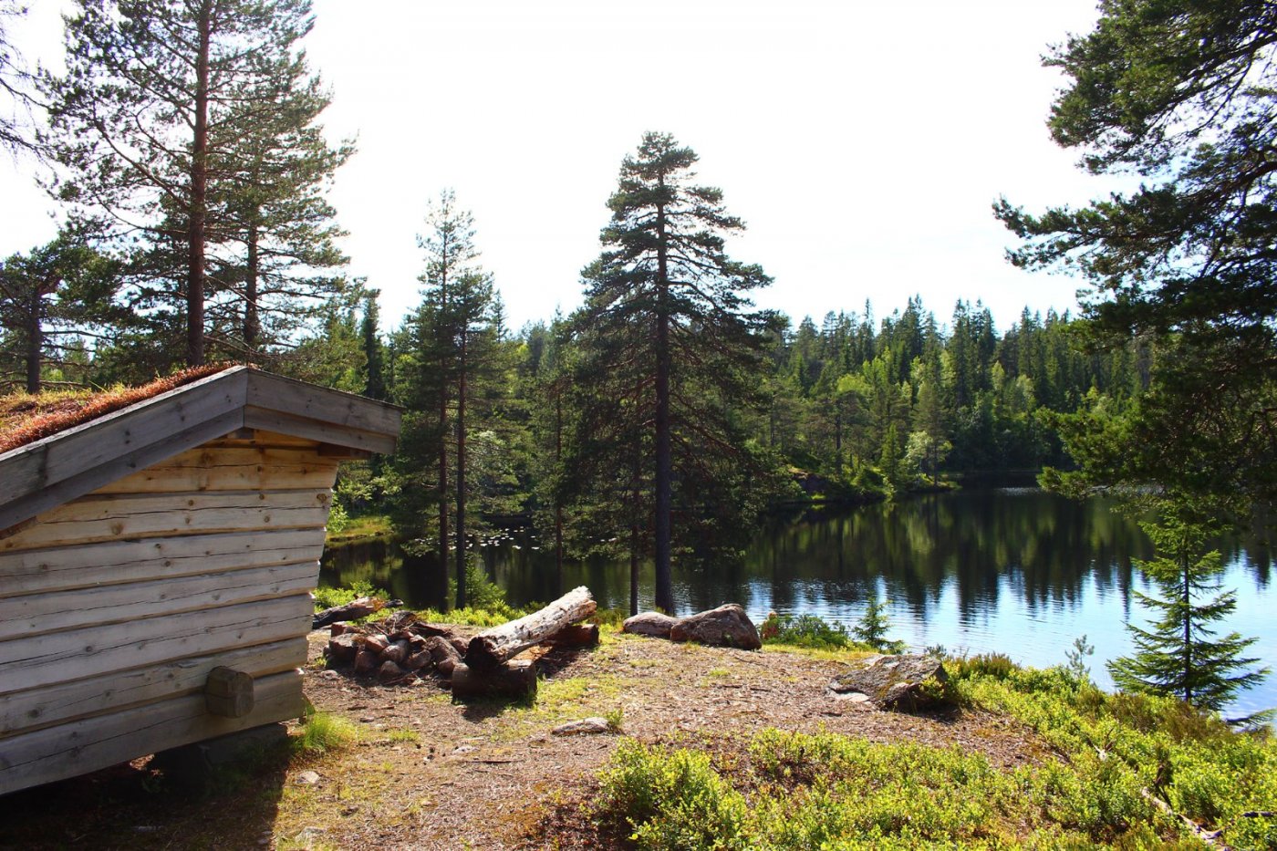 Helletjernhuken copy.jpg