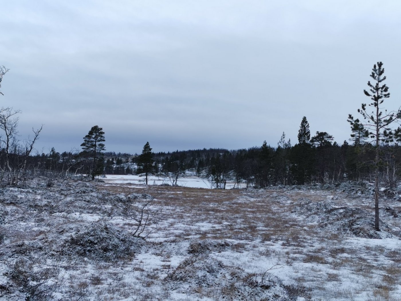 IMG_20201119_101904(2) – Kopi.jpg