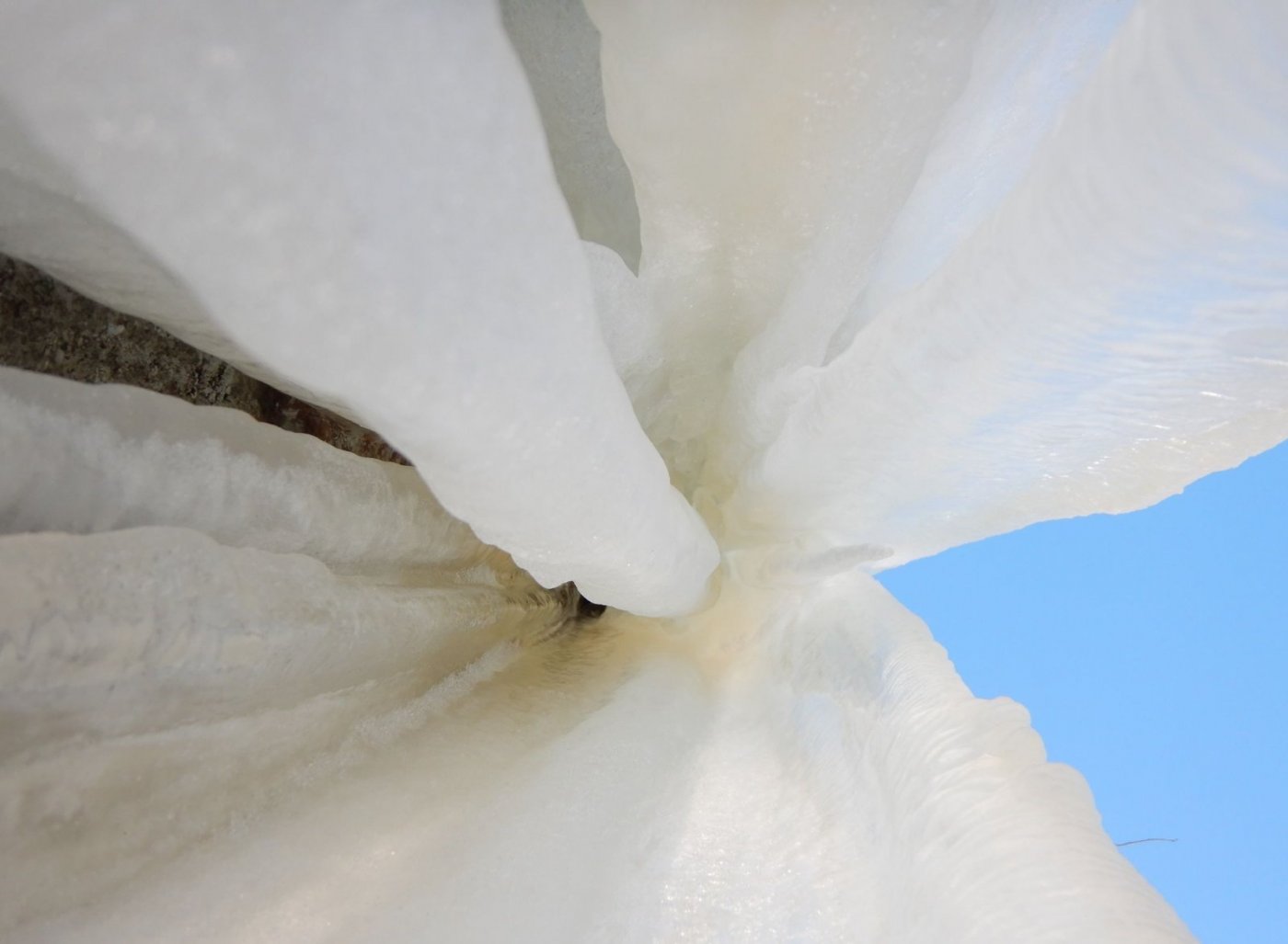 20210130, Maridalsvannet og truger ved Fagertjern (84).jpg