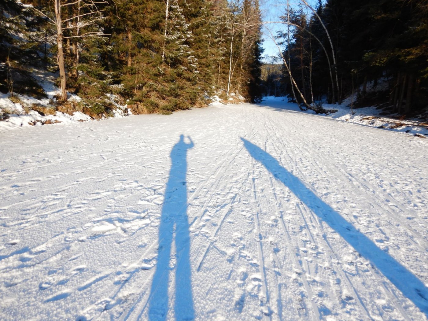 20210131, Lillotur med Magnus (4).jpg