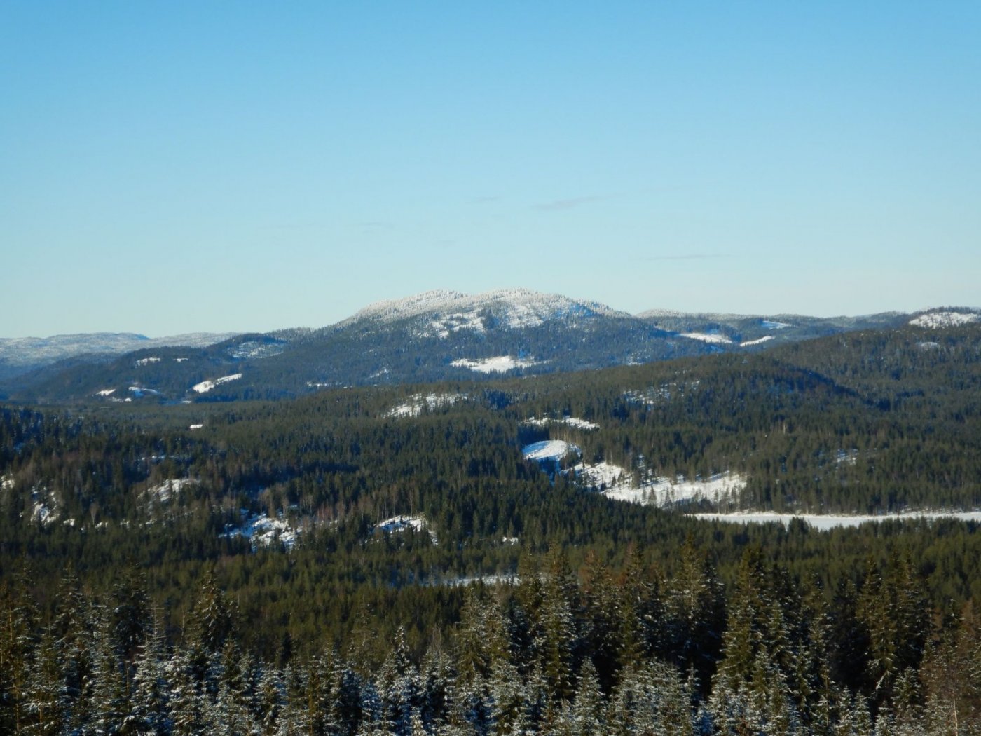 20210130, Maridalsvannet og truger ved Fagertjern (63).jpg