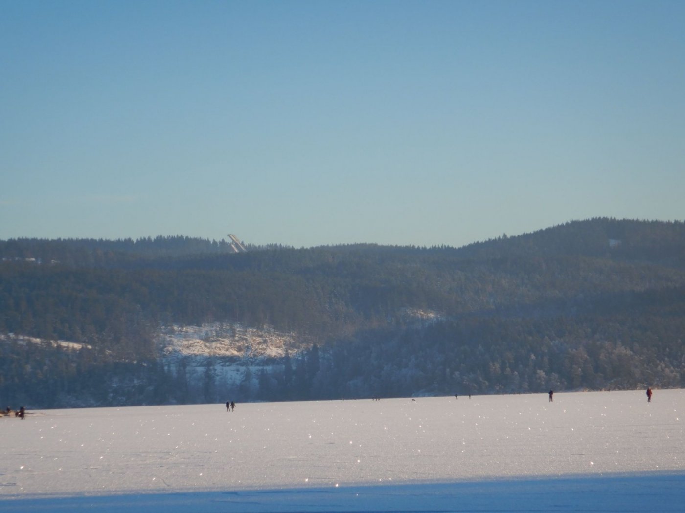 20210130, Maridalsvannet og truger ved Fagertjern (125).jpg
