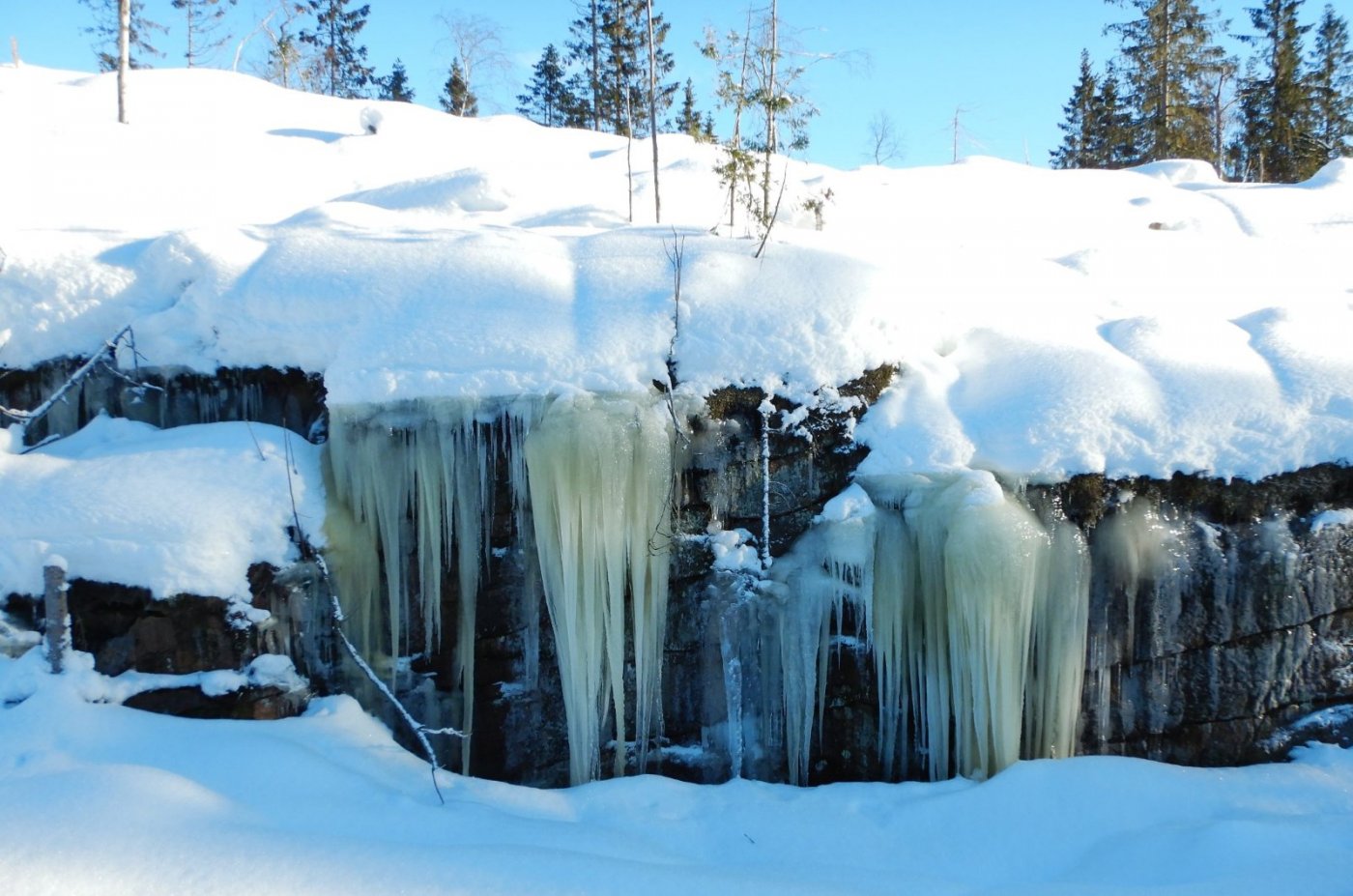20210130, Maridalsvannet og truger ved Fagertjern (73).jpg