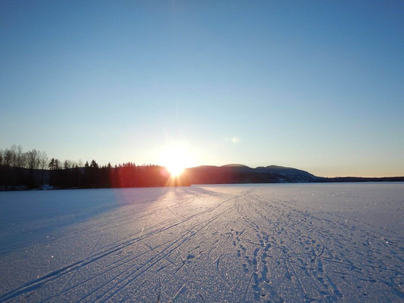 20210130, Maridalsvannet og truger ved Fagertjern (9).jpg