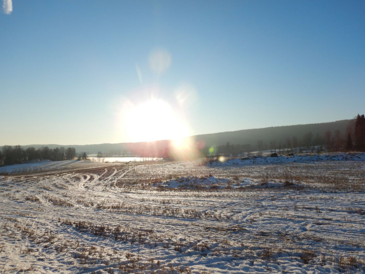 20210130, Maridalsvannet og truger ved Fagertjern (107).jpg