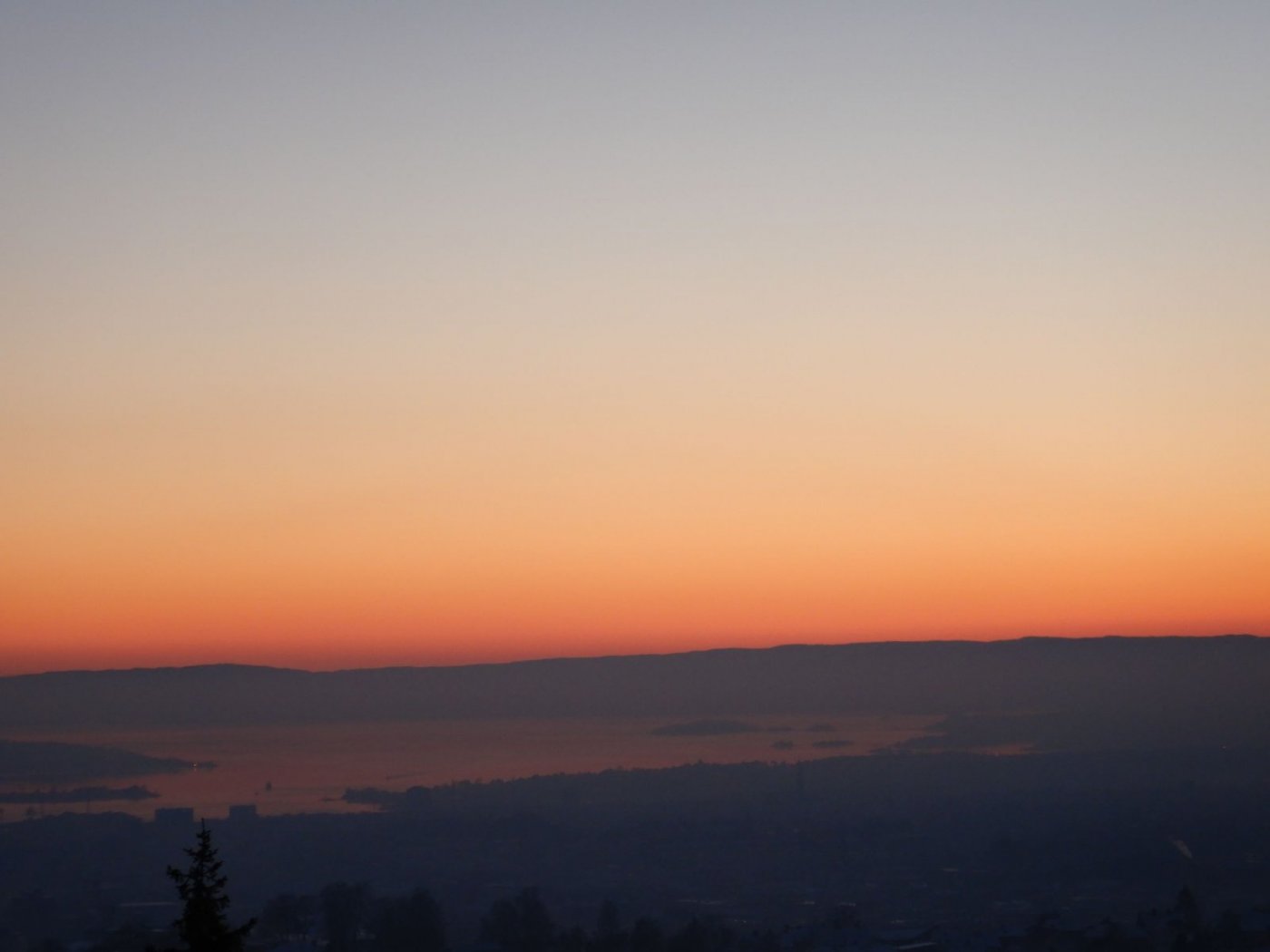 20210130, Maridalsvannet og truger ved Fagertjern (155).jpg