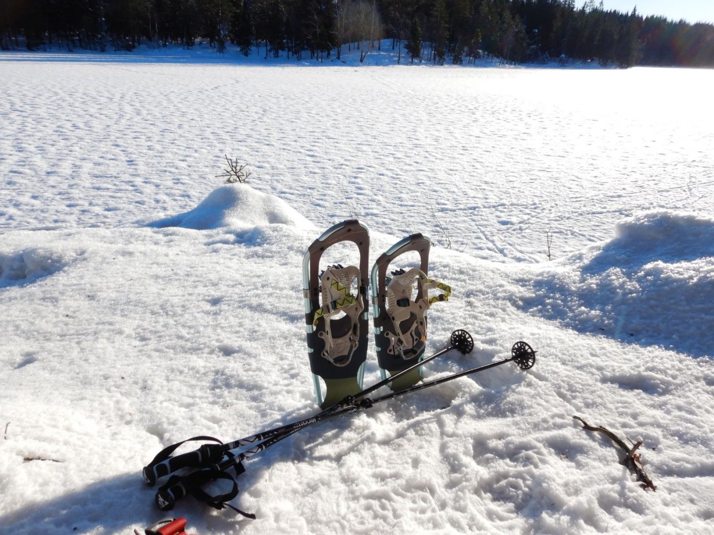 20210130, Maridalsvannet og truger ved Fagertjern (50).jpg