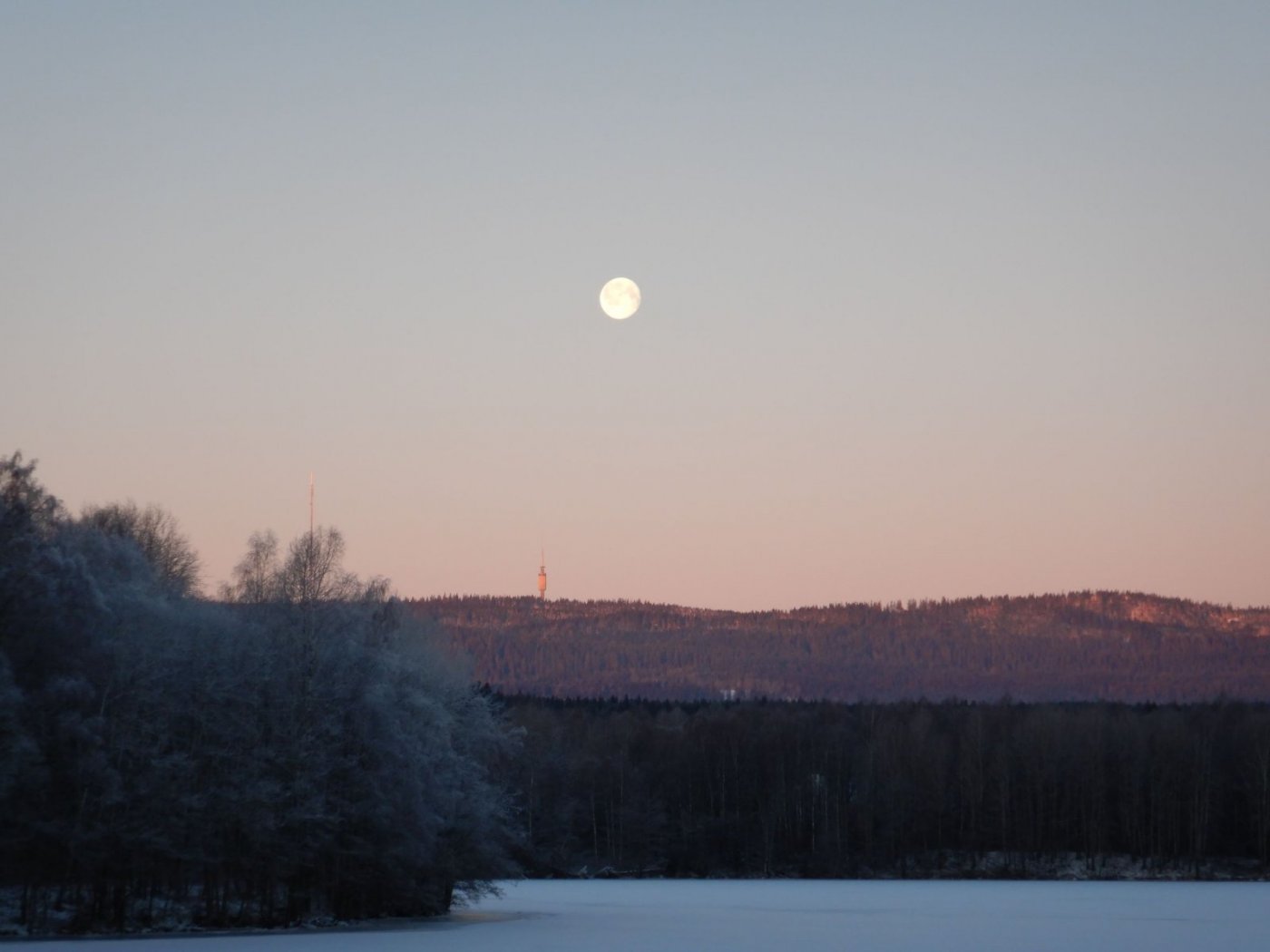 20210130, Maridalsvannet og truger ved Fagertjern (1).jpg