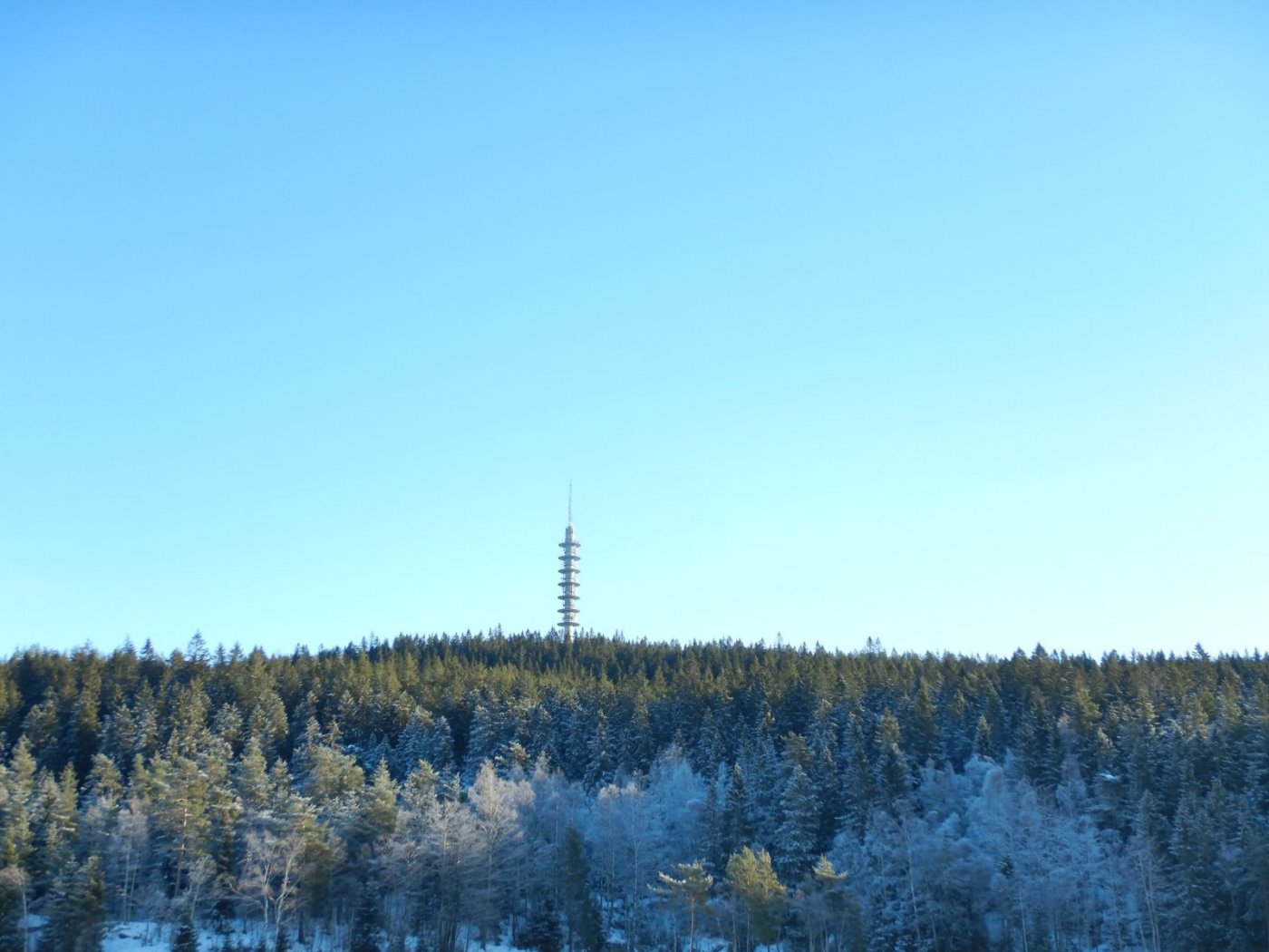 20210131, Lillotur med Magnus (16).jpg