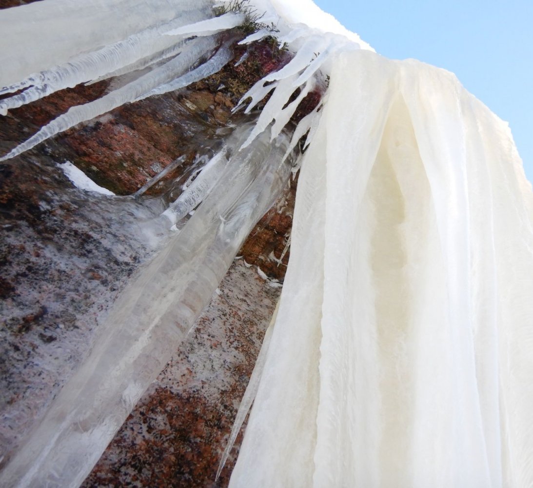 20210130, Maridalsvannet og truger ved Fagertjern (91).jpg