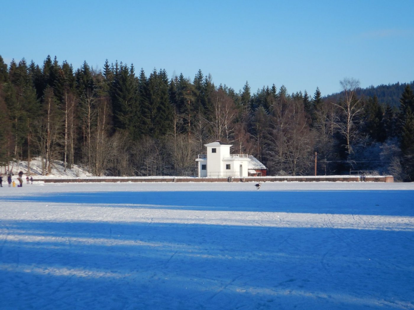 20210131, Lillotur med Magnus (50).jpg