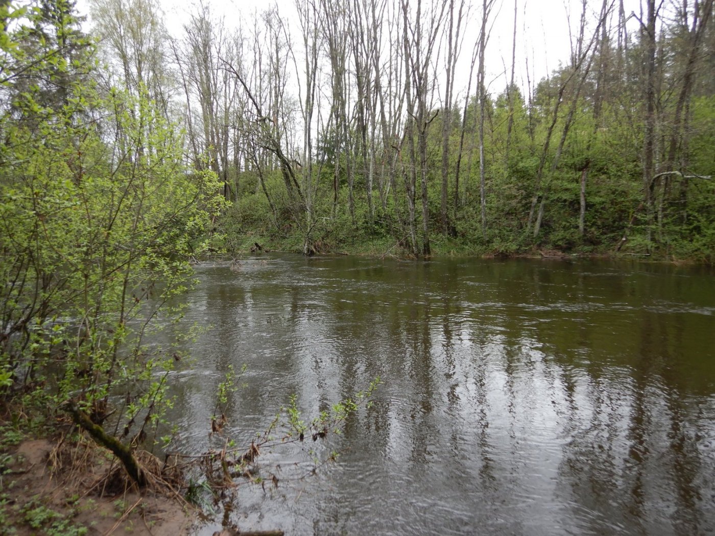 20210516, Ekspedisjon på Nitelva (4).jpg