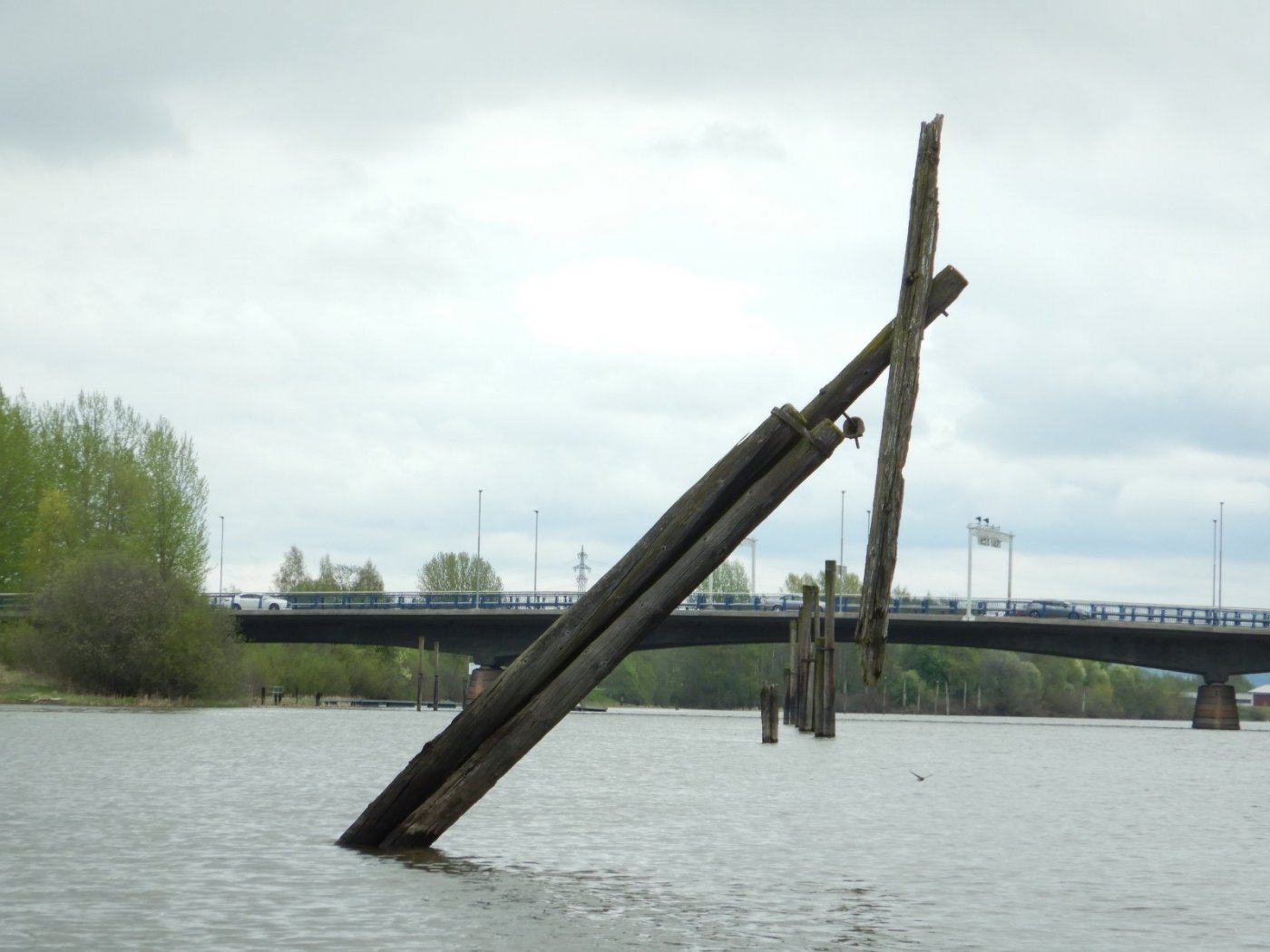 20210516, Ekspedisjon på Nitelva (169).jpg