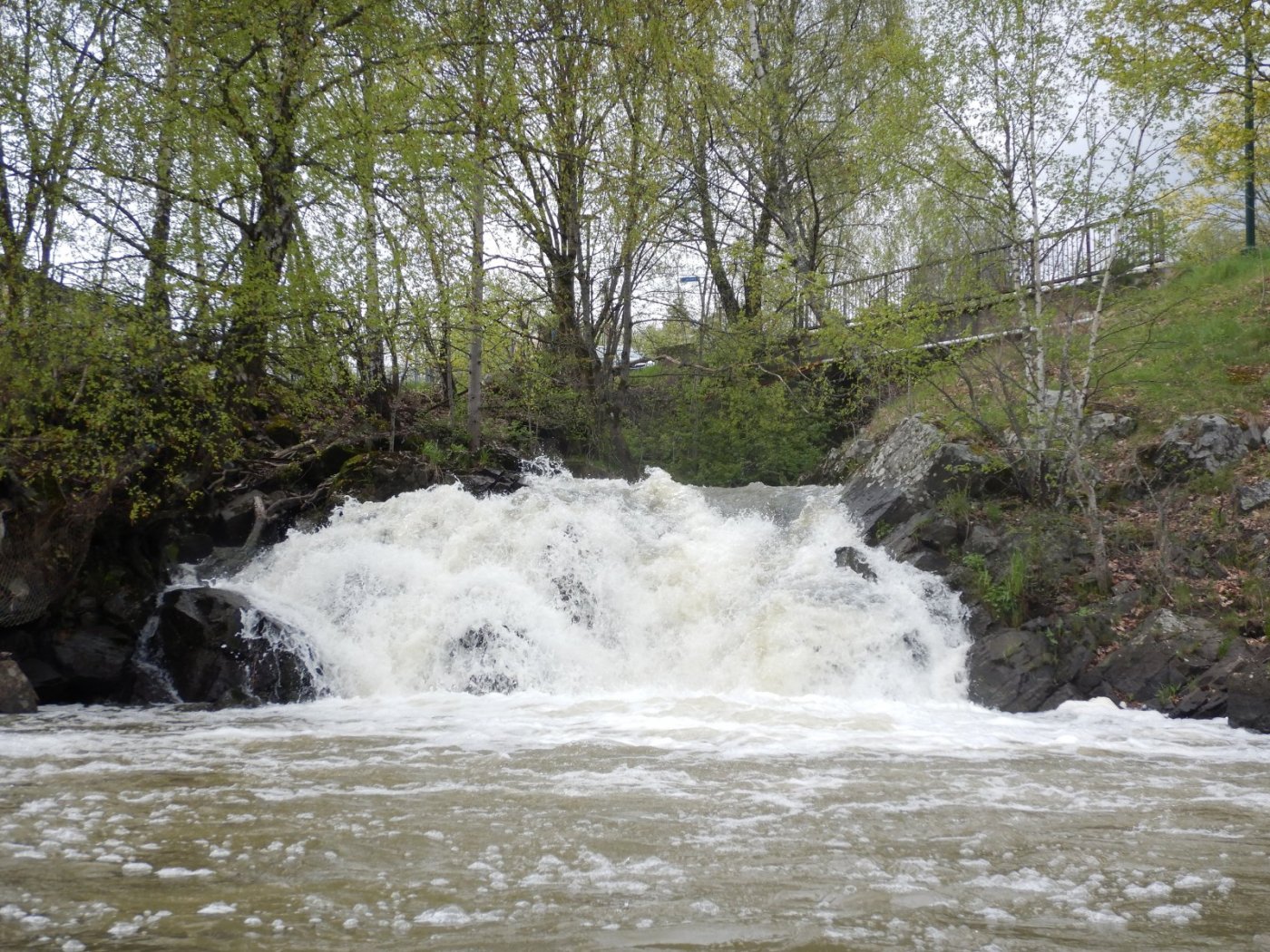 20210516, Ekspedisjon på Nitelva (142).jpg